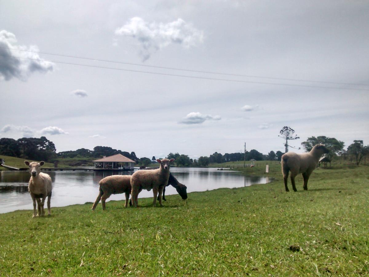 Chales Rincao Comprido Canela Eksteriør bilde